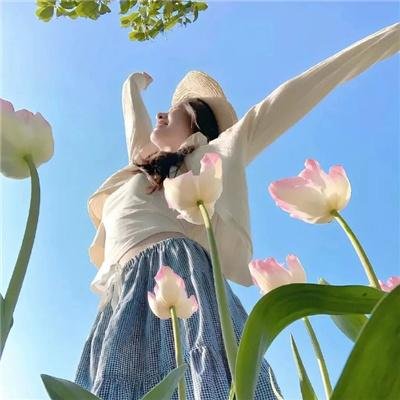 芭蕾彗星尼真斯基